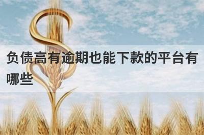 负债高有逾期也能下款的平台有哪些？盘点5个2024网贷逾期可以借款的口子