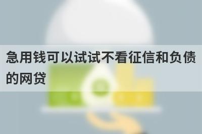 急用钱可以试试不看征信和负债的网贷，放款快速！