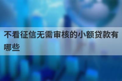 不看征信无需审核的小额贷款有
哪些
