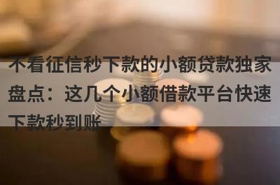 不看征信秒下款的小额贷款独家盘点：这几个小额借款平台快速下款秒到账！