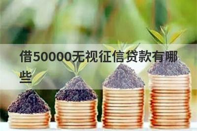 借50000无视征信贷款有哪些？独家盘点5个借5万无视征信贷款