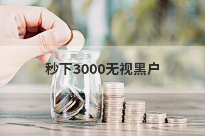 秒下3000无视黑户(借钱不看征信和大数据)