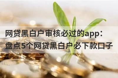 网贷黑白户审核必过的app：盘点5个网贷黑白户必下款口子