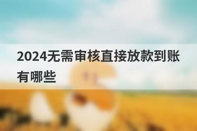 2024无需审核直接放款到账有哪些？免审核的贷款
