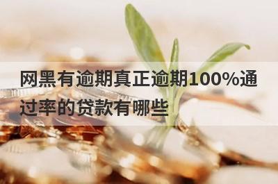 网黑有逾期真正逾期100%通
过率的贷款有哪些
