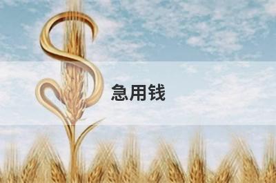 急用钱？试试这些借款快速小额借款，好下款秒到账！