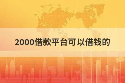 2000借款平台可以借钱的(能秒下1000元的小额贷款)