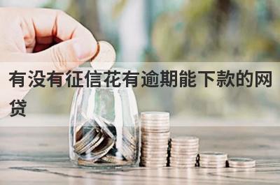 有没有征信花有逾期能下款的网贷？独家盘点征信不好容易下款的网贷