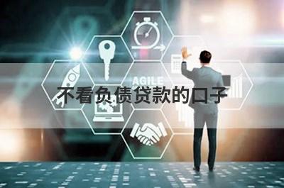 不看负债贷款的口子