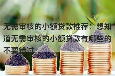 无需审核的小额贷款推荐：想知道无需审核的小额贷款有哪些的不要错过！