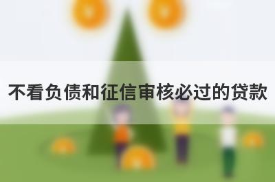 不看负债和征信审核必过的贷款，五个小额贷款平台汇总，借钱快好下款！