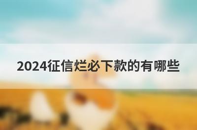 2024征信烂必下款的有哪些