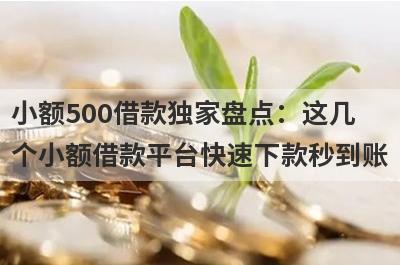 小额500借款独家盘点：这几个小额借款平台快速下款秒到账！