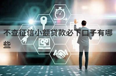 不查征信小额贷款必下口子有哪
些
