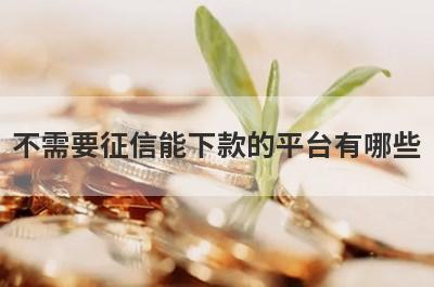 不需要征信能下款的平台有哪些？盘点5个征信很黑可以借款的口子