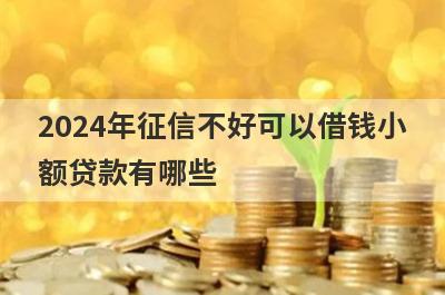 2024年征信不好可以借钱小额贷款有哪些？推荐5个小额贷款无征信