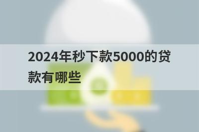 2024年秒下款5000的贷款有哪些？急用钱试试这几个