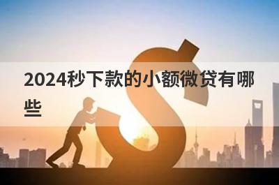 2024秒下款的小额微贷有哪些？这5个容易下款