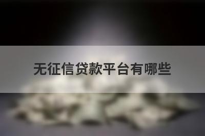 无征信贷款平台有哪些