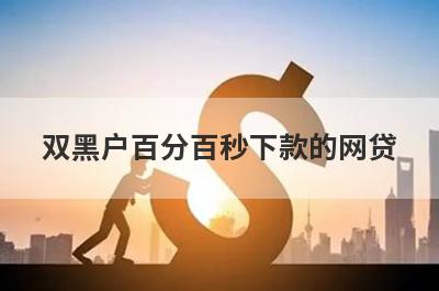 双黑户百分百秒下款的网贷 整理5个2024年黑户必下款的口子