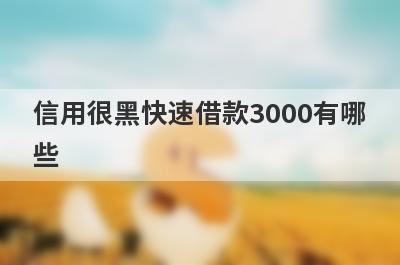 信用很黑快速借款3000有哪些？这几个信用很黑也能秒下3000