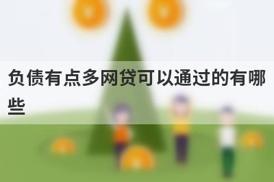 负债有点多网贷可以通过的有哪些？试试负债有点多不用审核就下款口子
