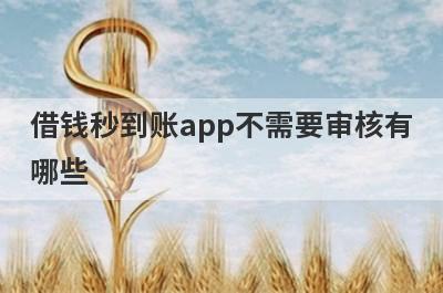 借钱秒到账app不需要审核有哪些？推荐5个不审核直接放款500