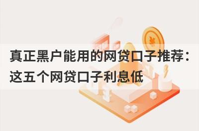 真正黑户能用的网贷口子推荐：这五个网贷口子利息低，秒下款！