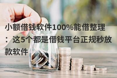 小额借钱软件100%能借整理：这5个都是借钱平台正规秒放款软件