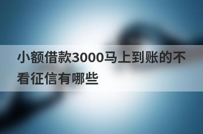 小额借款3000马上到账的不看征信有哪些？盘点5个急需5万贷款能马上下款的