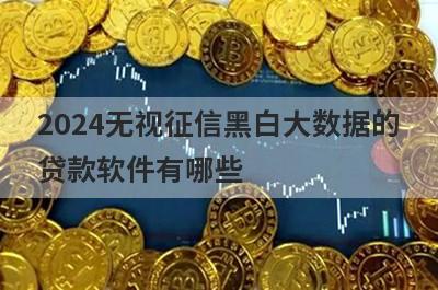 2024无视征信黑白大数据的贷款软件有哪些？盘点5个小额贷款500元不看征信可以贷款