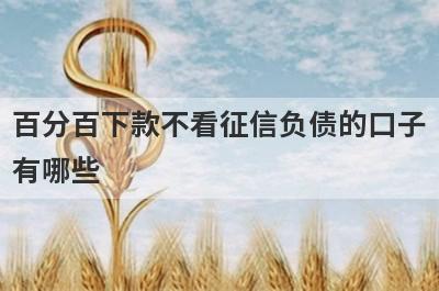 百分百下款不看征信负债的口子有哪些？整理5个征信花了负债过高还能借到钱