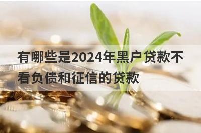 有哪些是2024年黑户贷款不看负债和征信的贷款 这几个2024年黑户贷款不看负债和征信的贷款极速借款秒到账