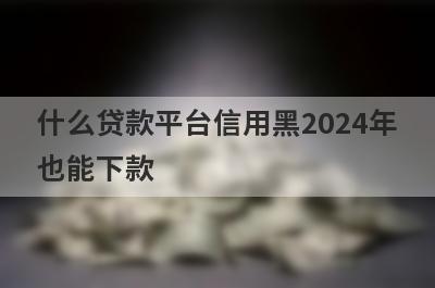 什么贷款平台信用黑2024年
也能下款
