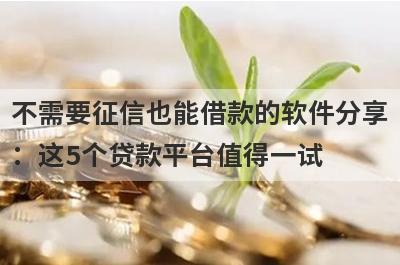 不需要征信也能借款的软件分享：这5个贷款平台值得一试！