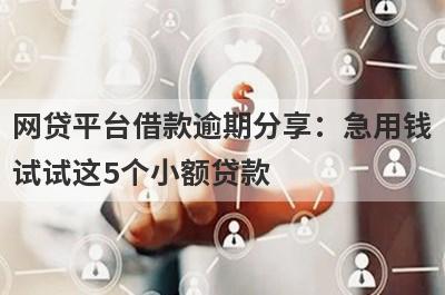 网贷平台借款逾期分享：急用钱试试这5个小额贷款！