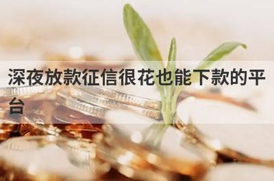 深夜放款征信很花也能下款的平
台
