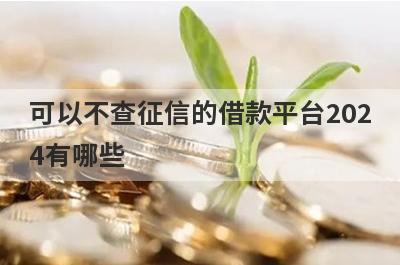 可以不查征信的借款平台2024有哪些？急用钱试试这几个，申请简单下款快
