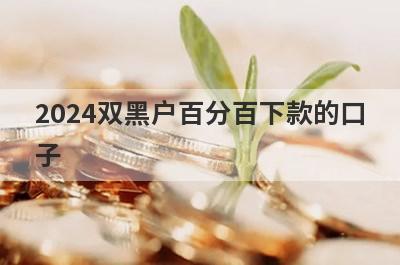 2024双黑户百分百下款的口
子
