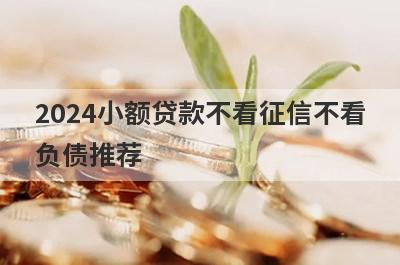 2024小额贷款不看征信不看
负债推荐
