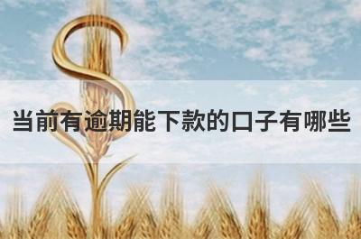当前有逾期能下款的口子有哪些