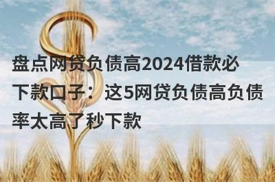 盘点网贷负债高2024借款必下款口子：这5网贷负债高负债率太高了秒下款
