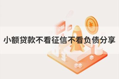 小额贷款不看征信不看负债分享，多个贷款平台分析，急用秒到账！