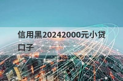 信用黑20242000元小贷
口子
