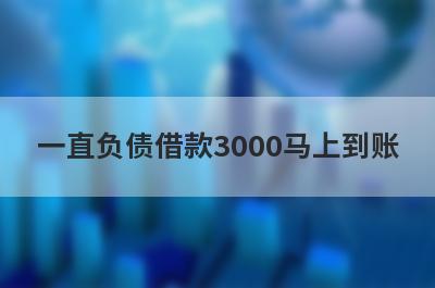 一直负债借款3000马上到账，整理5个一直负债马上到账平台