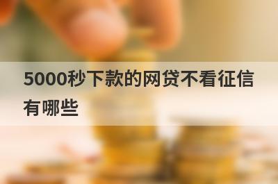 5000秒下款的网贷不看征信有哪些？容易放款的小额贷款不看征信