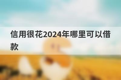 信用很花2024年哪里可以借
款
