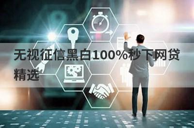 无视征信黑白100%秒下网贷精选 这5个口子2月很好下