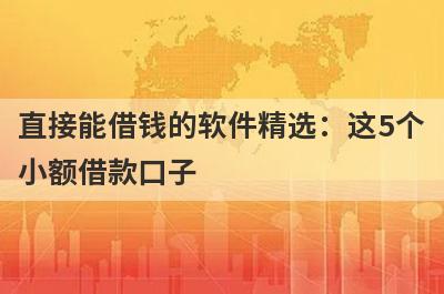 直接能借钱的软件精选：这5个小额借款口子，轻松借到急需资金！