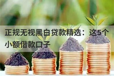 正规无视黑白贷款精选：这5个小额借款口子，轻松借到急需资金！